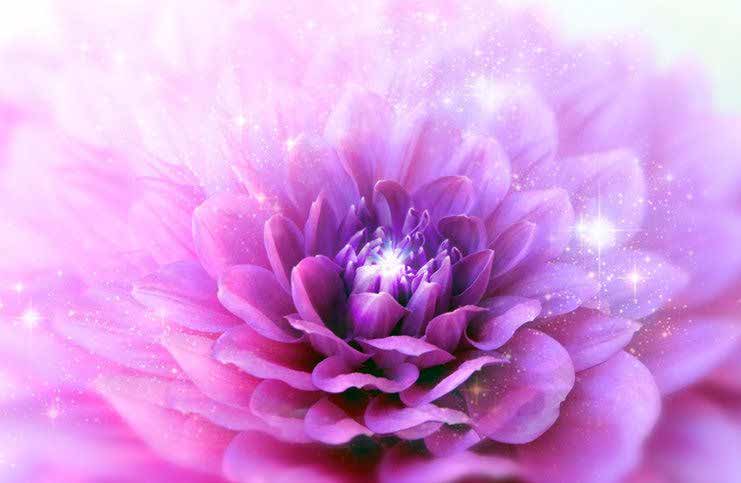 چاکرای هفتم | باز کردن چاکرای تاج