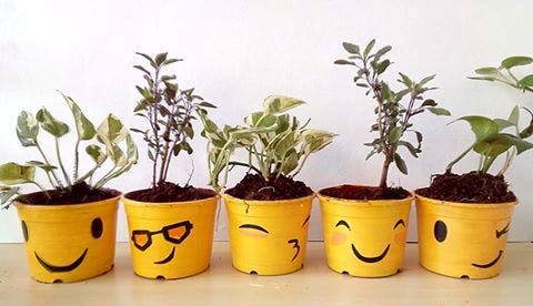نیروهای روانی گیاهان