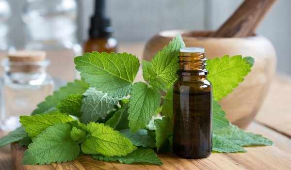 روغن بادْرَنجبويه