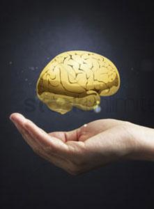قدرت پایین مغز