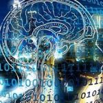 پنج نوع مغز، پنج نوع شخصیت