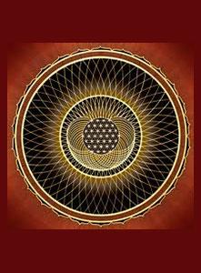 چاکرای زمینی