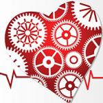 مغزی که در قلب وجود دارد | وجود ادراک در قلب