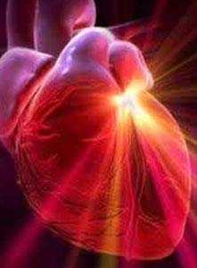 قلب دارای آگاهی