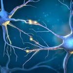 اثرات کتامین بر مغز