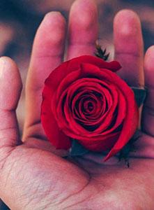 اثرات عشق بر مغز