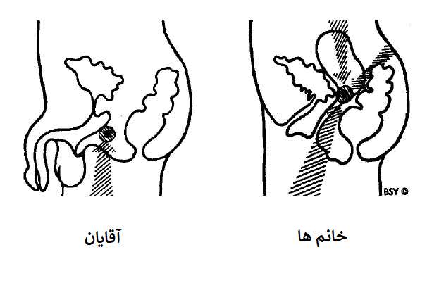 مولا باندا