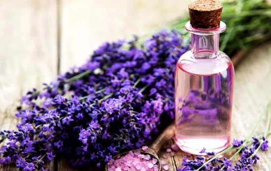 روغن اسطوخودوس