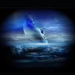 آیا رویای مشترک واقعیت دارد؟