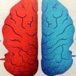 جابجایی با تولپا چیست؟