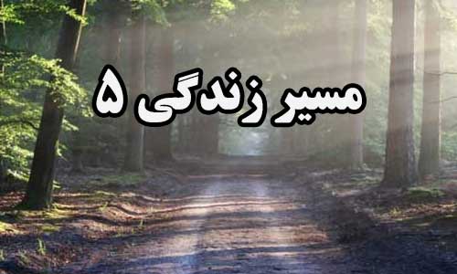 عدد زندگی 5