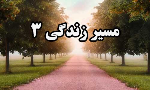 عدد زندگی 3